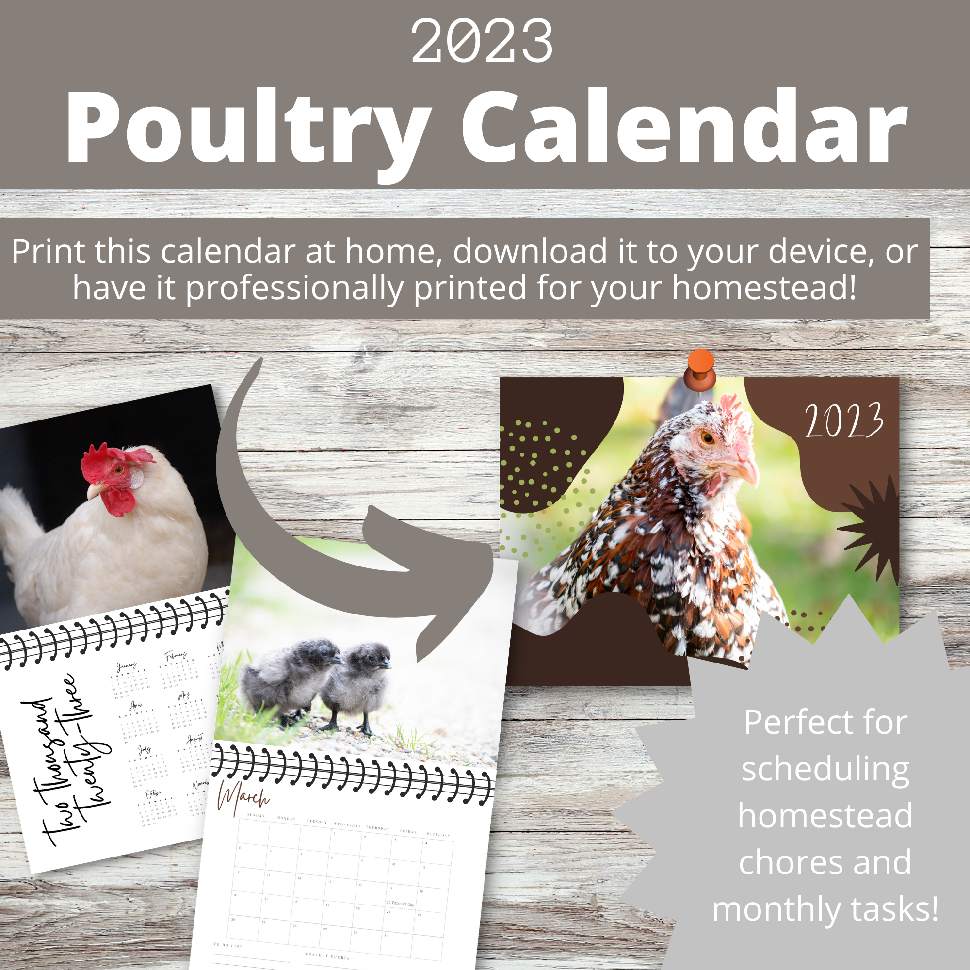 Chicken Wall Calendar 2023 - The Pioneer Chicks